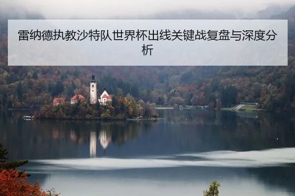 雷纳德执教沙特队世界杯出线关键战复盘与深度分析