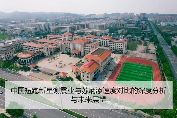 中国短跑新星谢震业与苏炳添速度对比的深度分析与未来展望